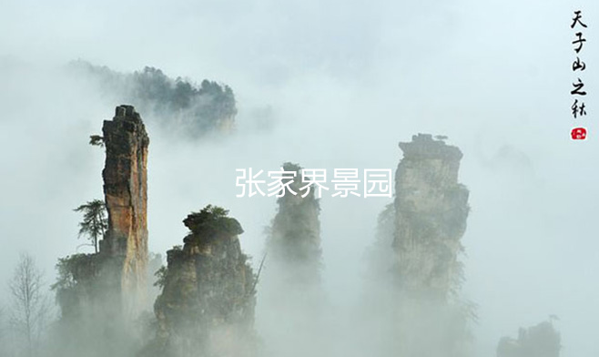 湖南张家界5A级风景区wifi项目案例